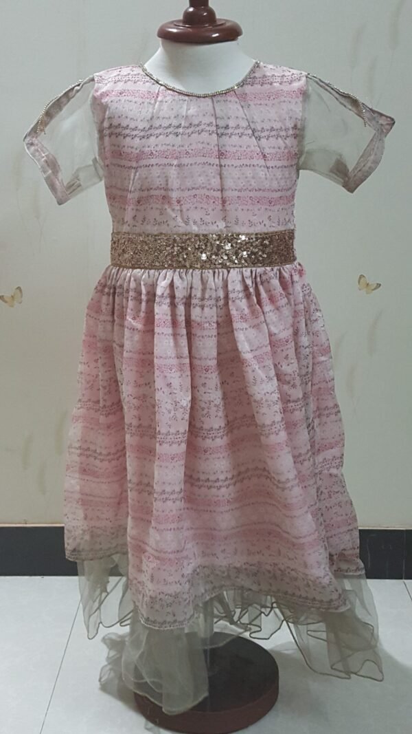 Pink Fancy Frock - Image 2