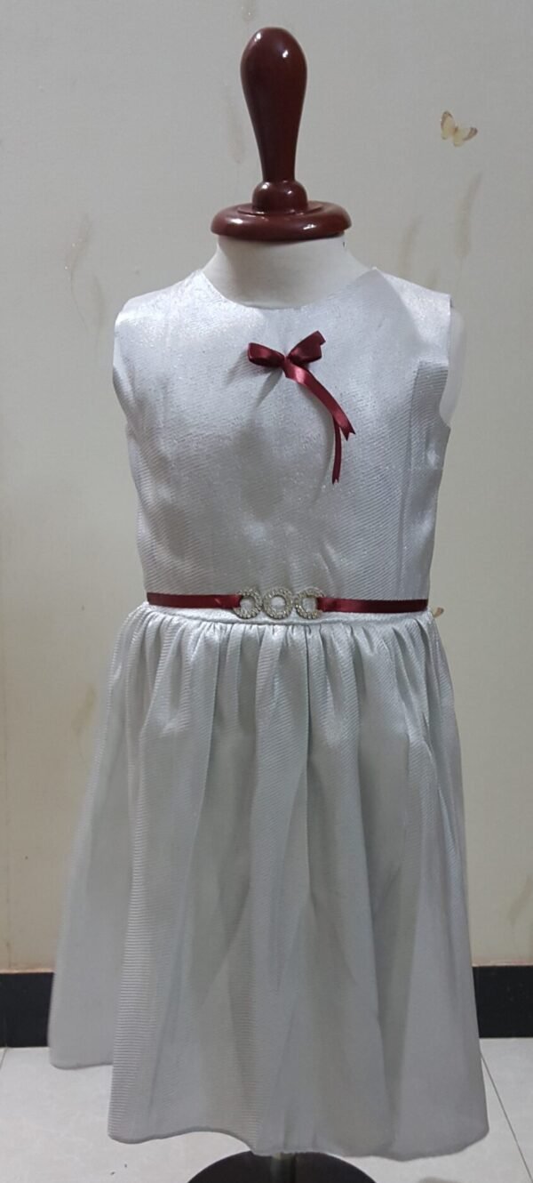 Silver Fancy Frock
