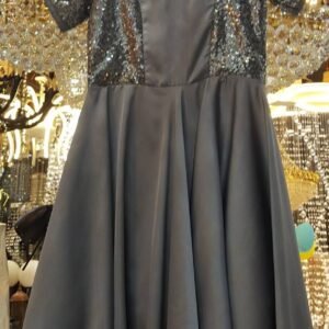 Grey Silk Fancy Frock
