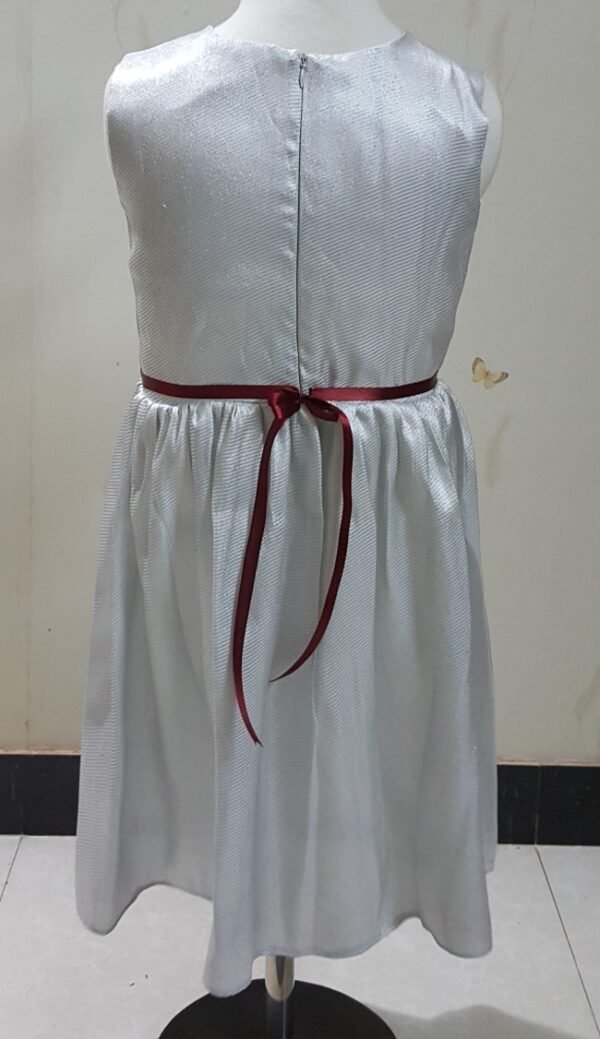 Silver Fancy Frock - Image 2