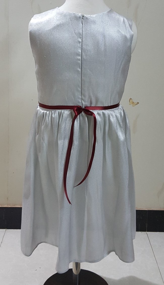 Silver Fancy Frock - Image 2
