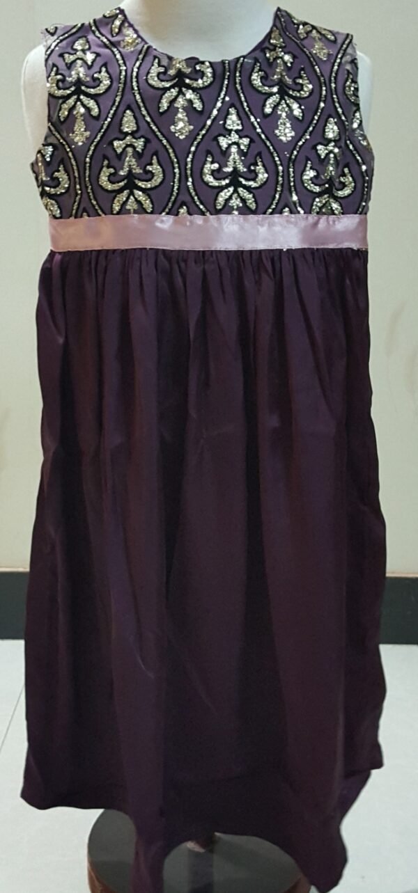 Plum Fancy Frock