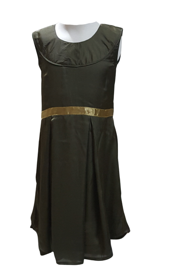 Silk Green Frock - Image 4